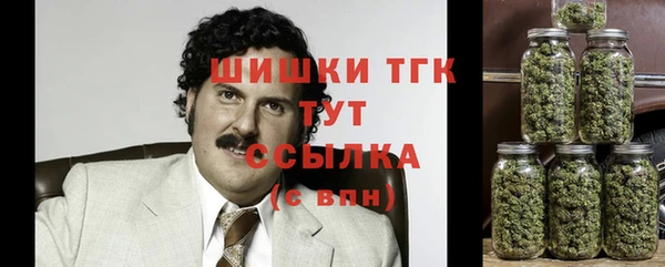 МДПВ Медногорск