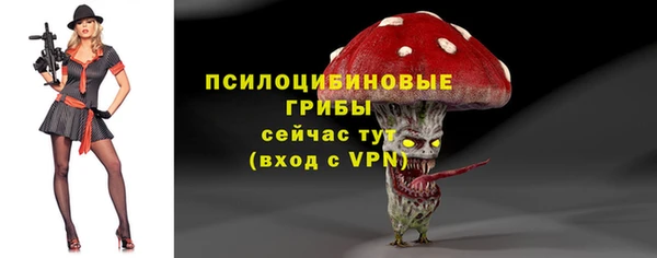 МДПВ Медногорск